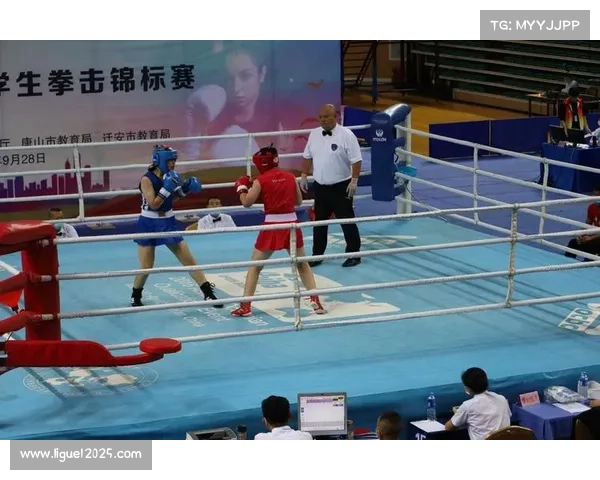 中国拳击产业市场进入研究报告分析政策、市场等多重风险